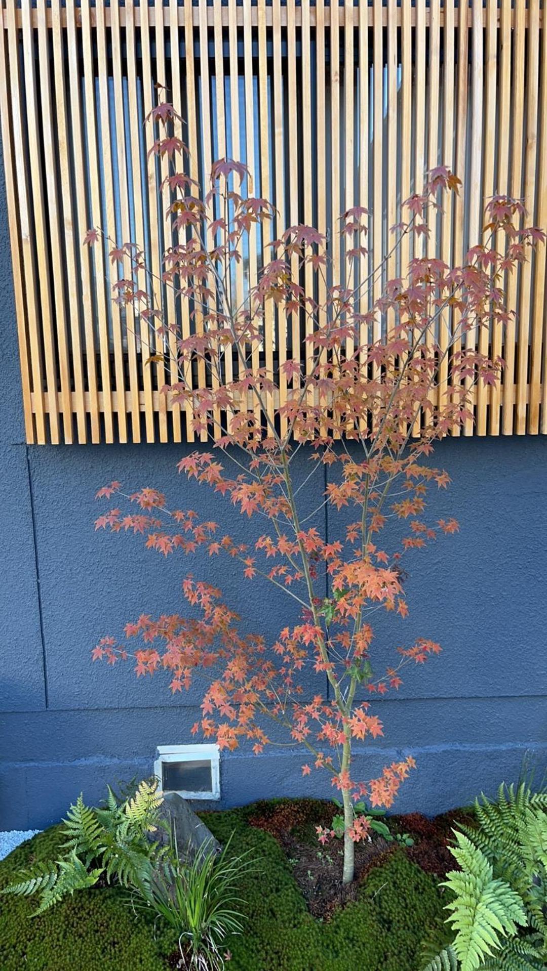 静雅の宿 Kjóto Exteriér fotografie